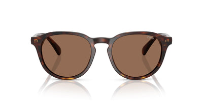 Polo Ralph Lauren PH4221 Shiny Brown Tortoise/Dark Brown #colour_shiny-brown-tortoise-dark-brown