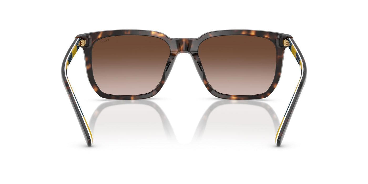 Polo Ralph Lauren PH4224U Shiny Dark Havana/Dark Brown Gradient #colour_shiny-dark-havana-dark-brown-gradient