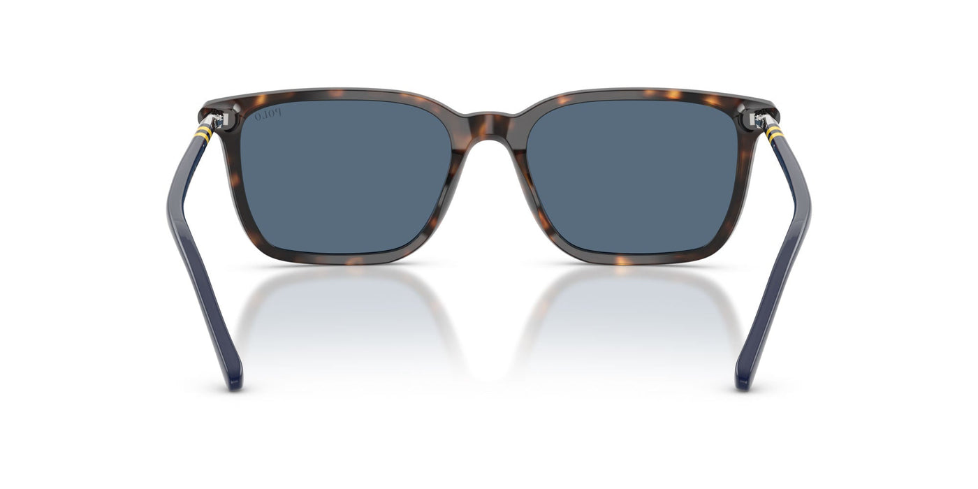 Polo Ralph Lauren PH4226 Shiny Havana/Dark Blue #colour_shiny-havana-dark-blue