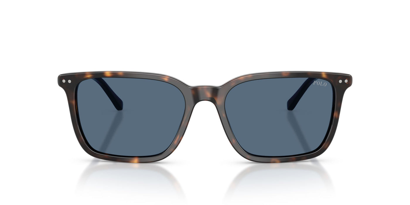 Polo Ralph Lauren PH4226 Shiny Havana/Dark Blue #colour_shiny-havana-dark-blue
