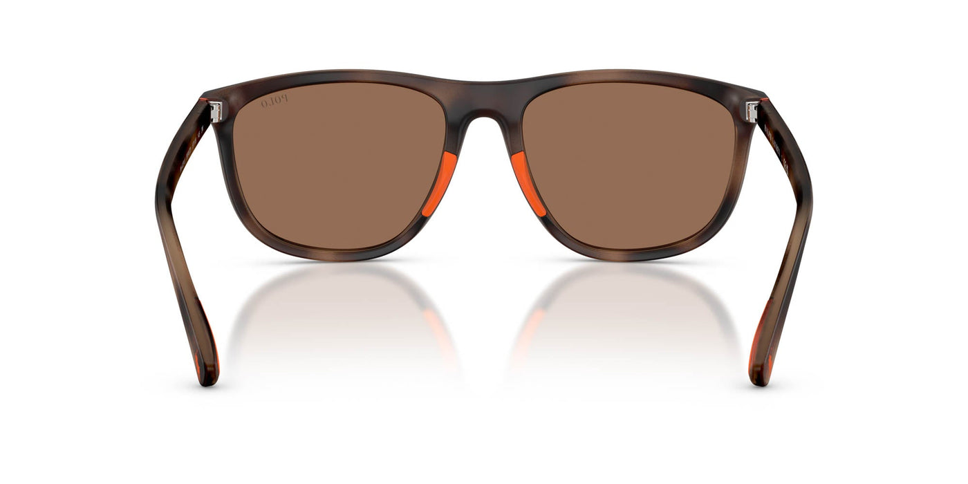 Polo Ralph Lauren PH4231U Matte Dark Havana/Dark Brown #colour_matte-dark-havana-dark-brown