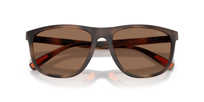Polo Ralph Lauren PH4231U Matte Dark Havana/Dark Brown #colour_matte-dark-havana-dark-brown