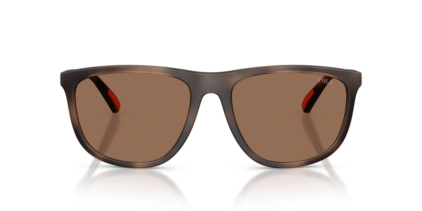 Polo Ralph Lauren PH4231U Matte Dark Havana/Dark Brown #colour_matte-dark-havana-dark-brown