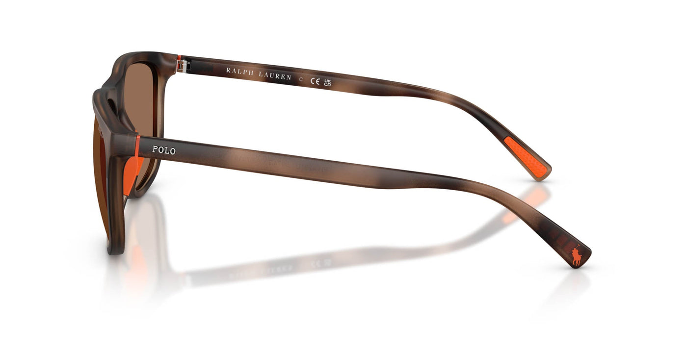 Polo Ralph Lauren PH4231U Matte Dark Havana/Dark Brown #colour_matte-dark-havana-dark-brown