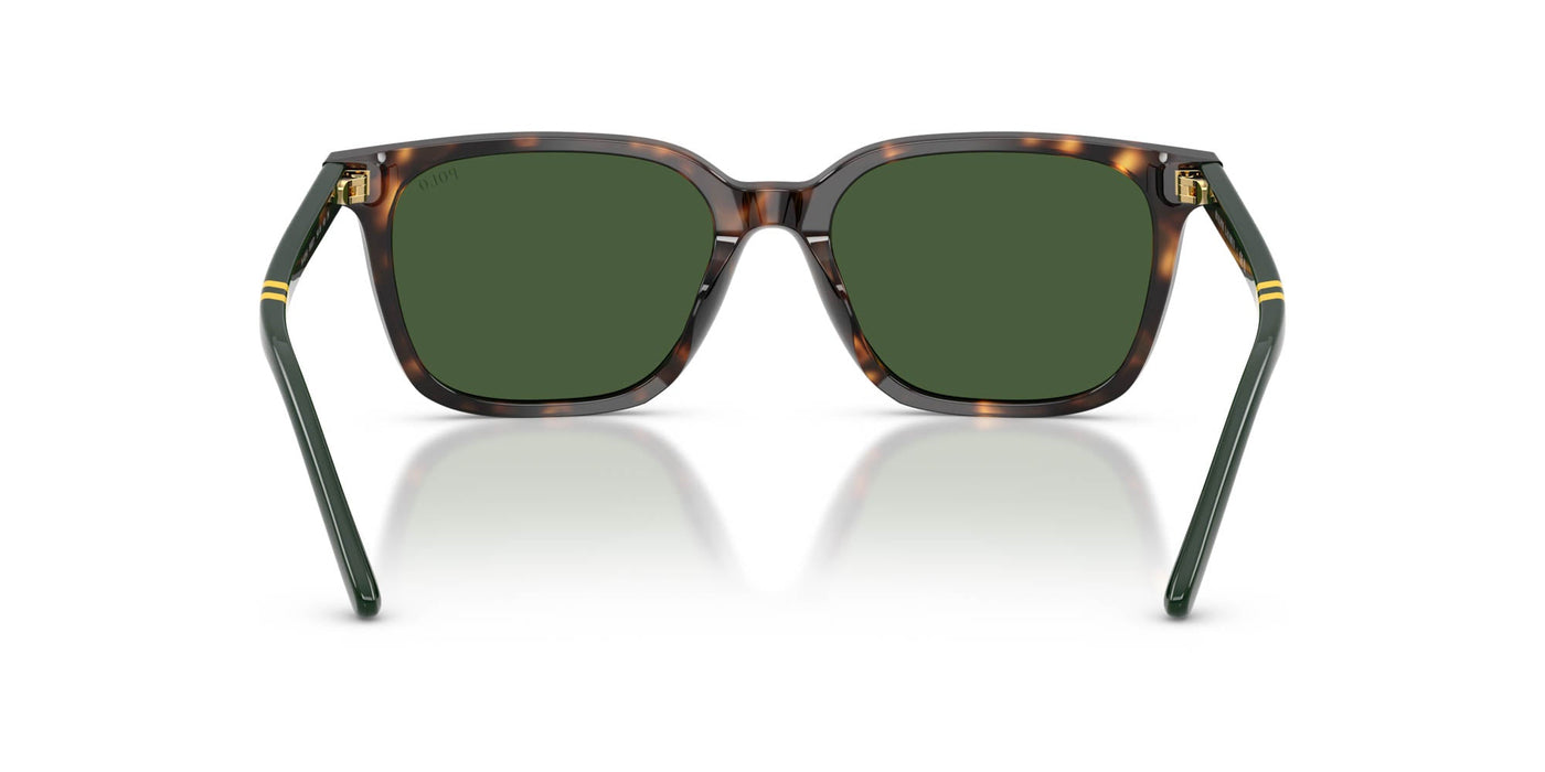 Polo Ralph Lauren PH4235U Shiny Dark Havana/Bottle Green #colour_shiny-dark-havana-bottle-green