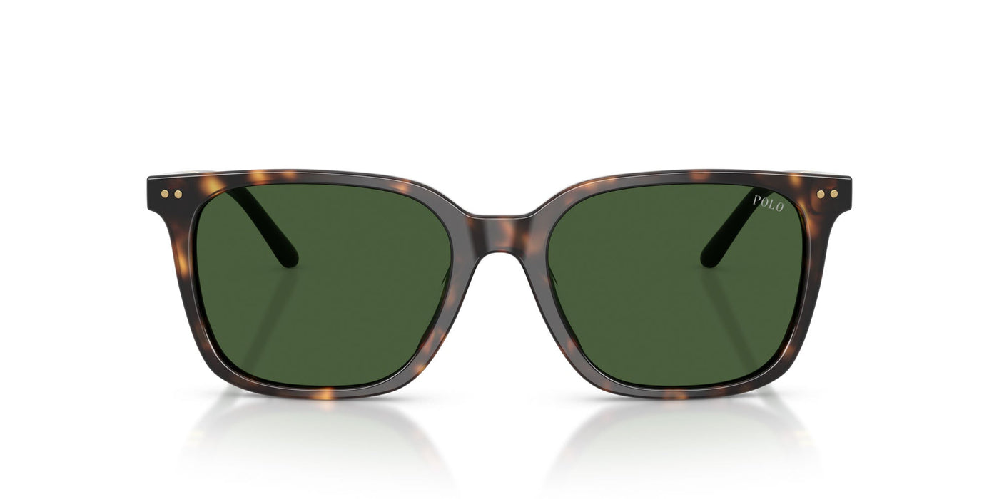 Polo Ralph Lauren PH4235U Shiny Dark Havana/Bottle Green #colour_shiny-dark-havana-bottle-green