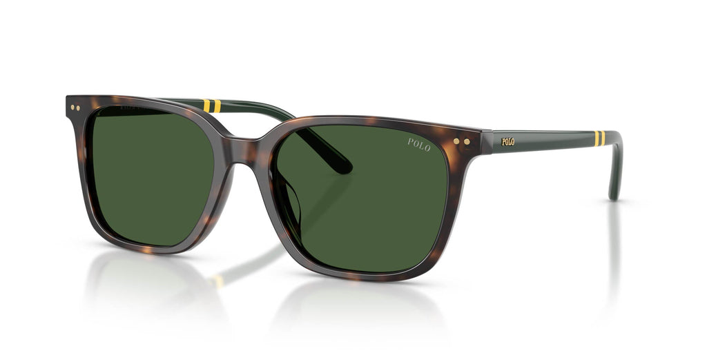 Polo Ralph Lauren PH4235U Shiny Dark Havana/Bottle Green #colour_shiny-dark-havana-bottle-green