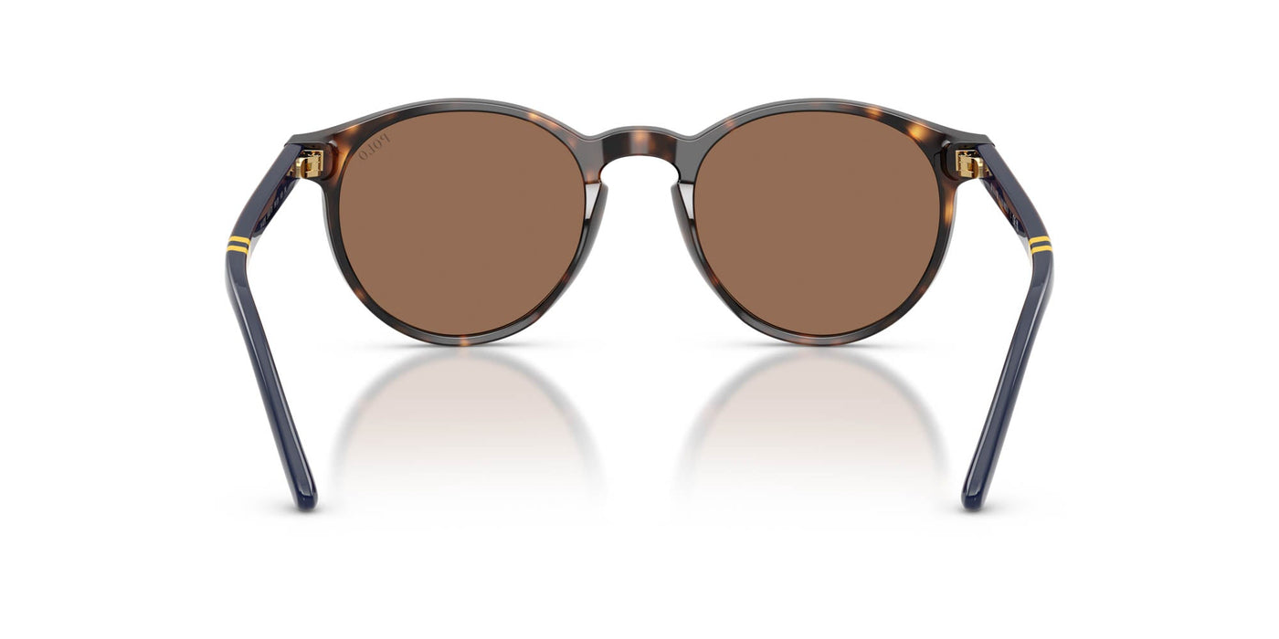 Polo Ralph Lauren PH4236 Shiny Dark Havana/Brown #colour_shiny-dark-havana-brown
