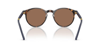 Polo Ralph Lauren PH4236 Shiny Dark Havana/Brown #colour_shiny-dark-havana-brown