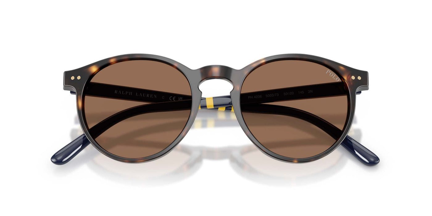 Polo Ralph Lauren PH4236 Shiny Dark Havana/Brown #colour_shiny-dark-havana-brown