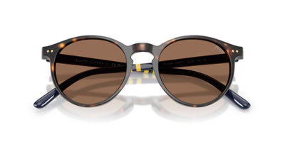 Polo Ralph Lauren PH4236 Shiny Dark Havana/Brown #colour_shiny-dark-havana-brown