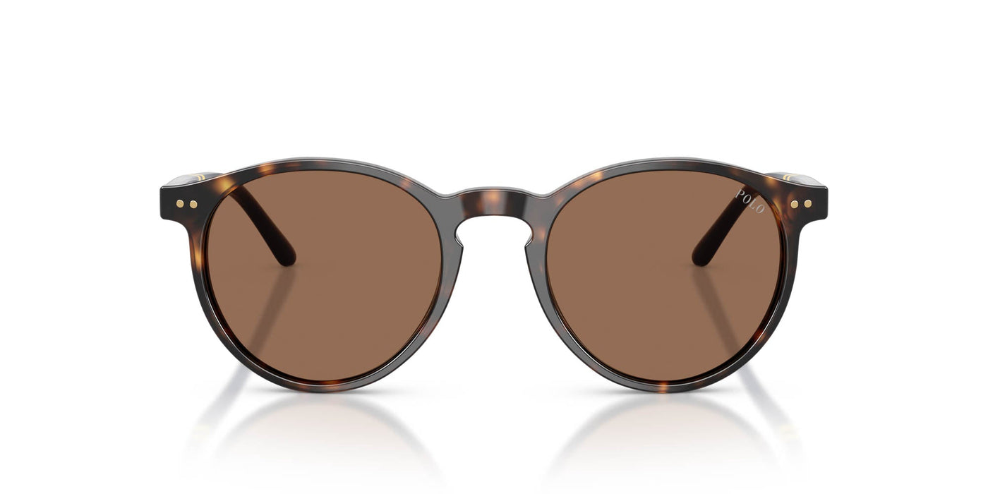 Polo Ralph Lauren PH4236 Shiny Dark Havana/Brown #colour_shiny-dark-havana-brown
