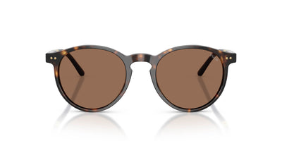 Polo Ralph Lauren PH4236 Shiny Dark Havana/Brown #colour_shiny-dark-havana-brown