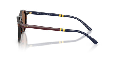 Polo Ralph Lauren PH4236 Shiny Dark Havana/Brown #colour_shiny-dark-havana-brown
