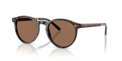 Polo Ralph Lauren PH4236 Shiny Dark Havana/Brown #colour_shiny-dark-havana-brown