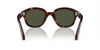 Persol PO0060S Havana/Green #colour_havana-green