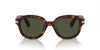 Persol PO0060S Havana/Green #colour_havana-green