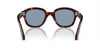 Persol PO0060S Havana/Blue #colour_havana-blue