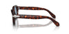 Persol PO0060S Havana/Blue #colour_havana-blue