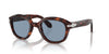 Persol PO0060S Havana/Blue #colour_havana-blue