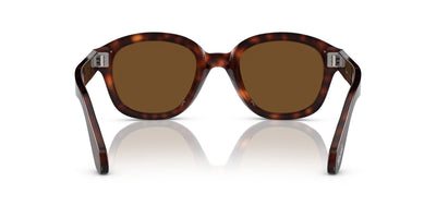 Persol PO0060S Havana/Brown Polarised #colour_havana-brown-polarised