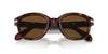 Persol PO0060S Havana/Brown Polarised #colour_havana-brown-polarised