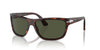 Persol PO3342S Havana/Green #colour_havana-green