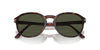 Persol PO3343S Havana/Green #colour_havana-green