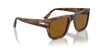 Persol PO3348S Brown Havana/Brown #colour_brown-havana-brown