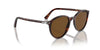 Persol PO3350S Havana/Brown Polarised #colour_havana-brown-polarised