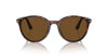 Persol PO3350S Havana/Brown Polarised #colour_havana-brown-polarised