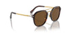 Persol PO3352S Havana/Brown Polarised #colour_havana-brown-polarised