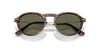 Persol PO3383S Havana/Green Polarised #colour_havana-green-polarised