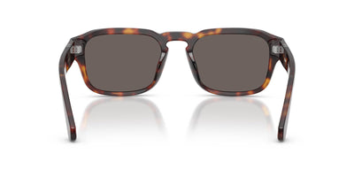 Persol PO3386S Havana/Dark Grey #colour_havana-dark-grey
