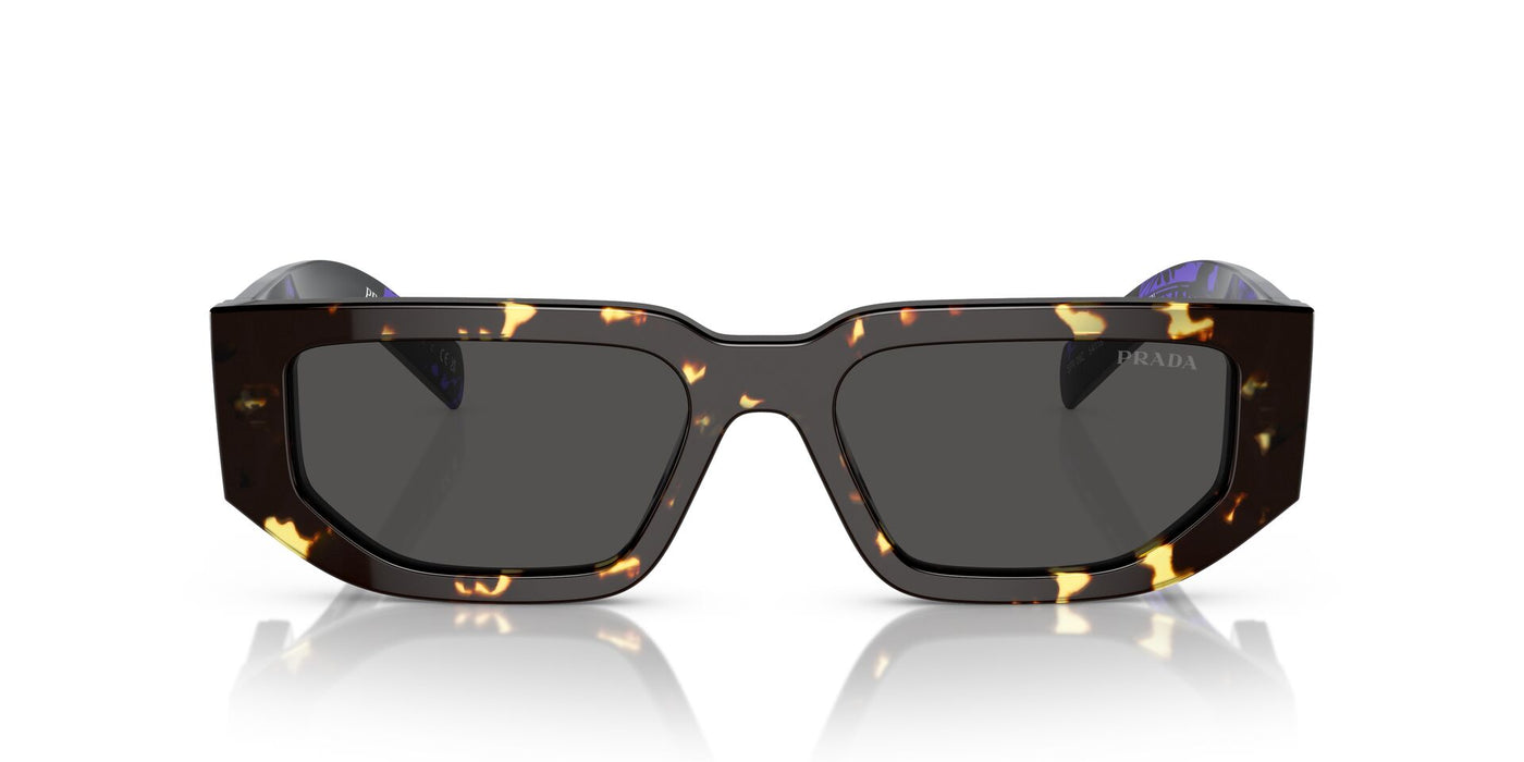 Prada SPR09Z Tortoise Black Malt/Dark Grey #colour_tortoise-black-malt-dark-grey