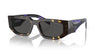 Prada SPR09Z Tortoise Black Malt/Dark Grey #colour_tortoise-black-malt-dark-grey