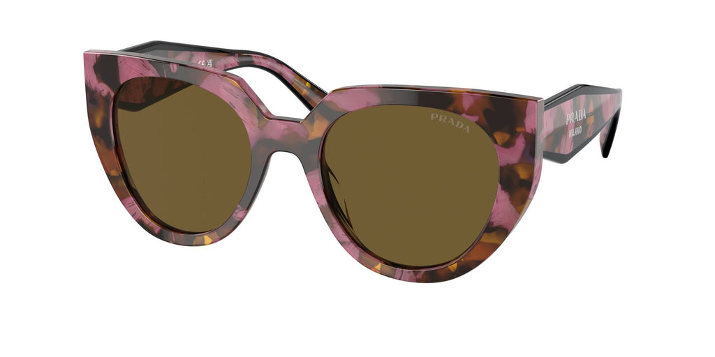 #colour_tortoise-cognac-begonia-dark-brown