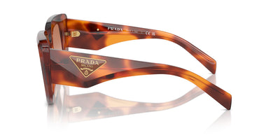 Prada SPR14Z Cognac Tortoise/Brown Gradient #colour_cognac-tortoise-brown-gradient