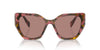 Prada SPR19Z Tortoise Cognac Begonia/Light Brown #colour_tortoise-cognac-begonia-light-brown