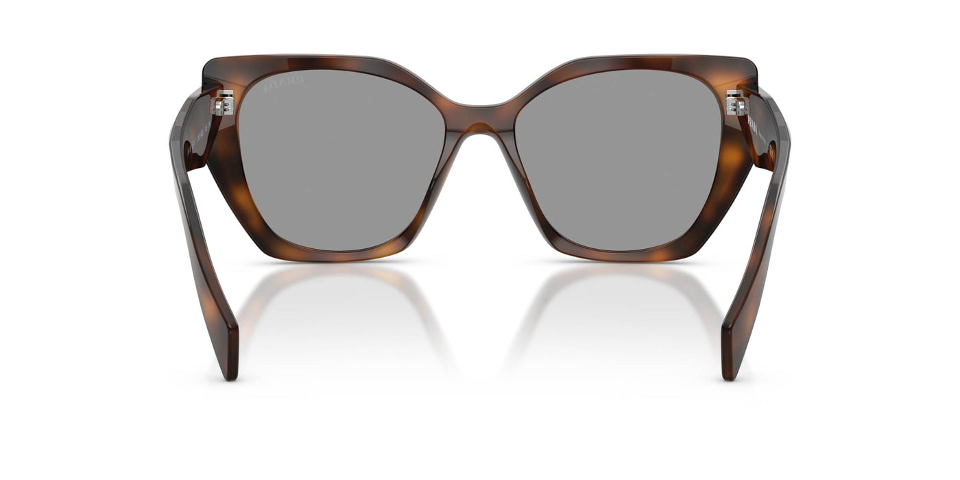 Prada SPR 19Z Juniper Tortoise/Grey #colour_juniper-tortoise-grey