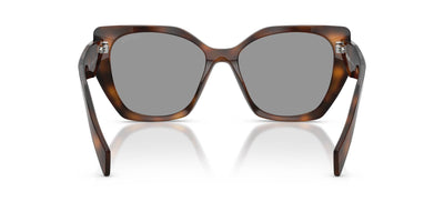 Prada SPR 19Z Juniper Tortoise/Grey #colour_juniper-tortoise-grey