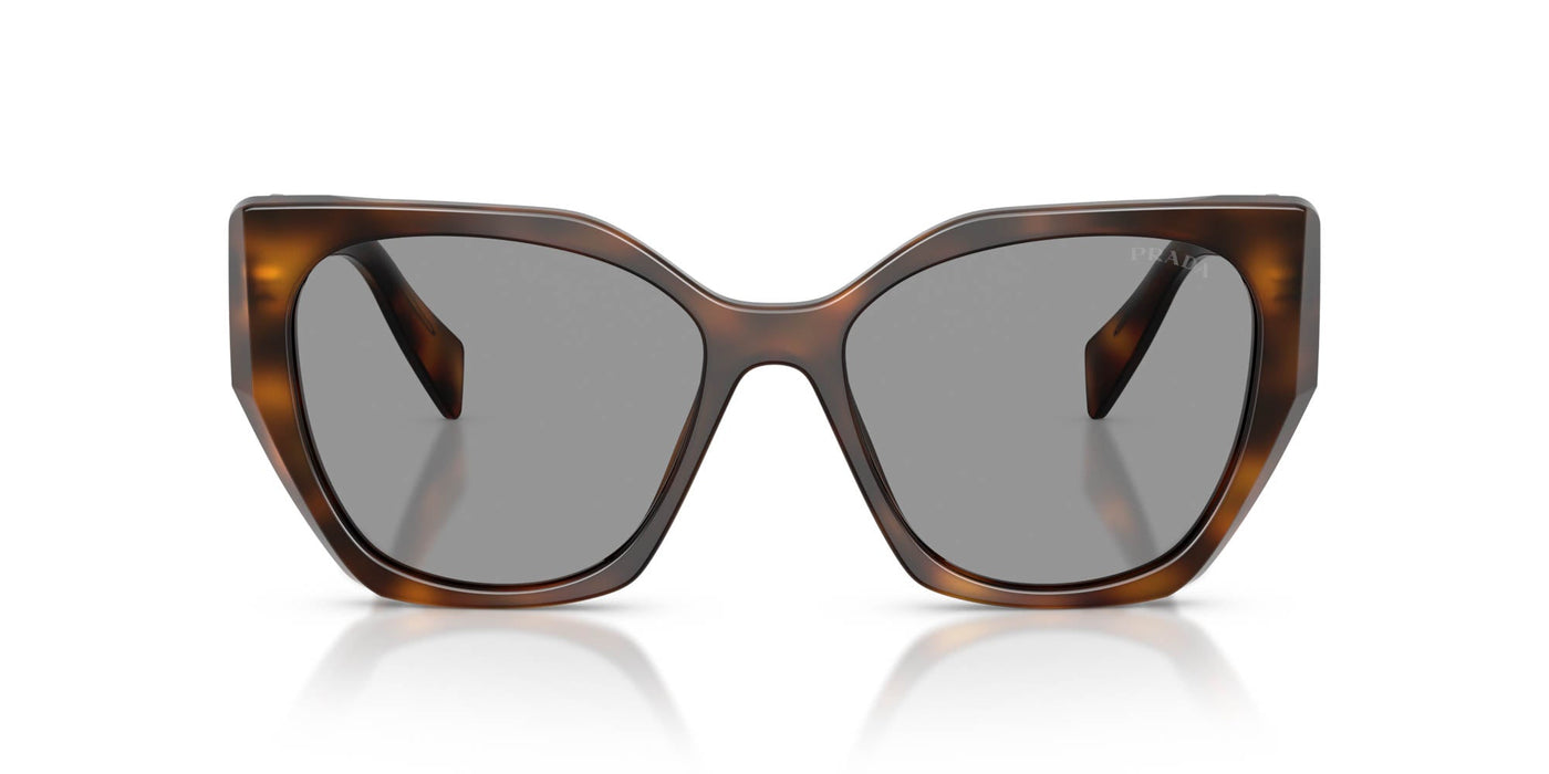 Prada SPR 19Z Juniper Tortoise/Grey #colour_juniper-tortoise-grey