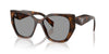 Prada SPR 19Z Juniper Tortoise/Grey #colour_juniper-tortoise-grey