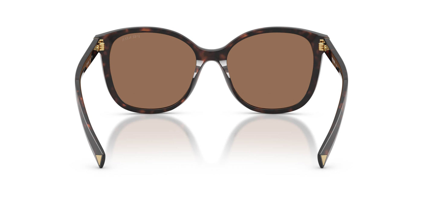 Prada SPR 22Z Tartaruga Radica/Dark Brown #colour_tartaruga-radica-dark-brown