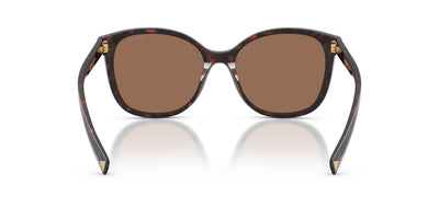 Prada SPR 22Z Tartaruga Radica/Dark Brown #colour_tartaruga-radica-dark-brown
