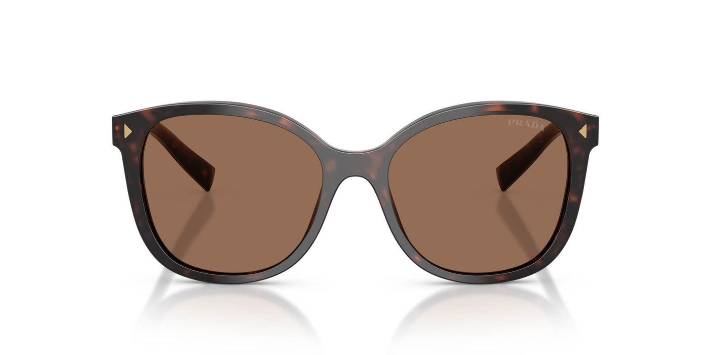 Prada SPR 22Z Tartaruga Radica/Dark Brown #colour_tartaruga-radica-dark-brown