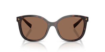Prada SPR 22Z Tartaruga Radica/Dark Brown #colour_tartaruga-radica-dark-brown