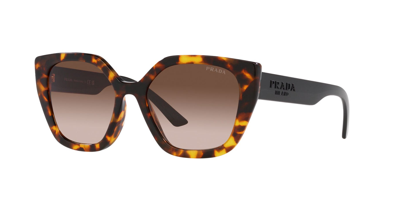 Prada SPR24X Honey Tortoise/Brown Gradient #colour_honey-tortoise-brown-gradient