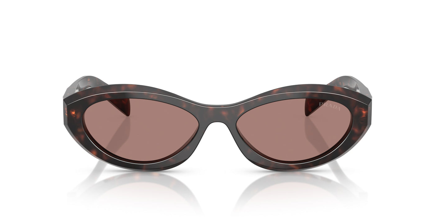 Prada SPR26Z Root Tortoise/Light Brown #colour_root-tortoise-light-brown