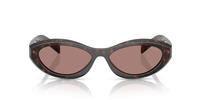 Prada SPR26Z Root Tortoise/Light Brown #colour_root-tortoise-light-brown